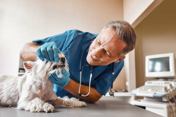 Best Pediatric Emergency Dentist in Haslet, TX